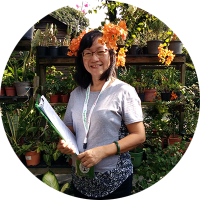 Eco Nursery | PGS | Earth Tag | Baba Gardening